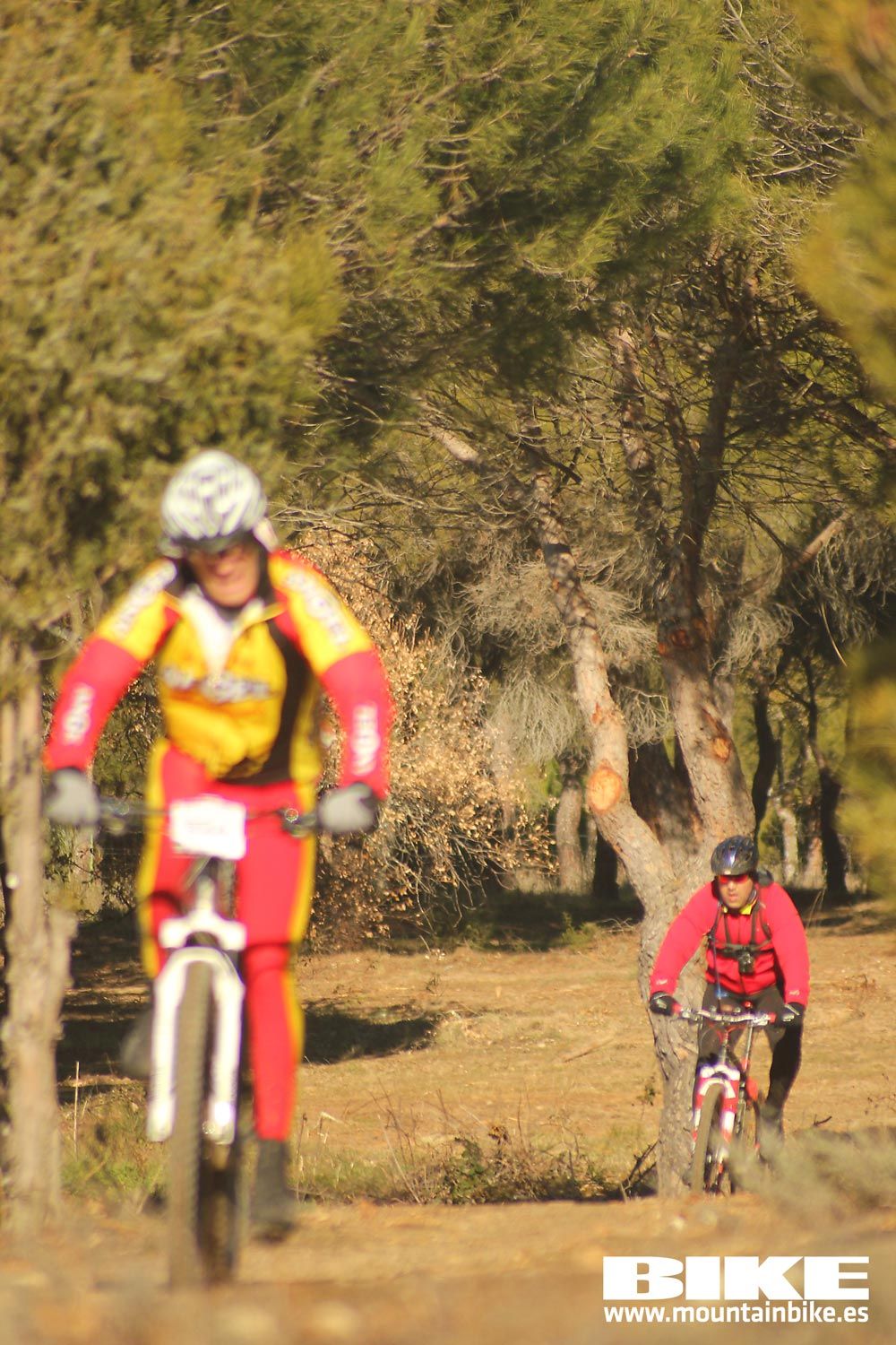 Valdemorillo 2015 Galeria 1