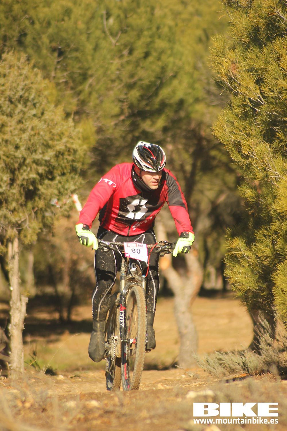 Valdemorillo 2015 Galeria 1