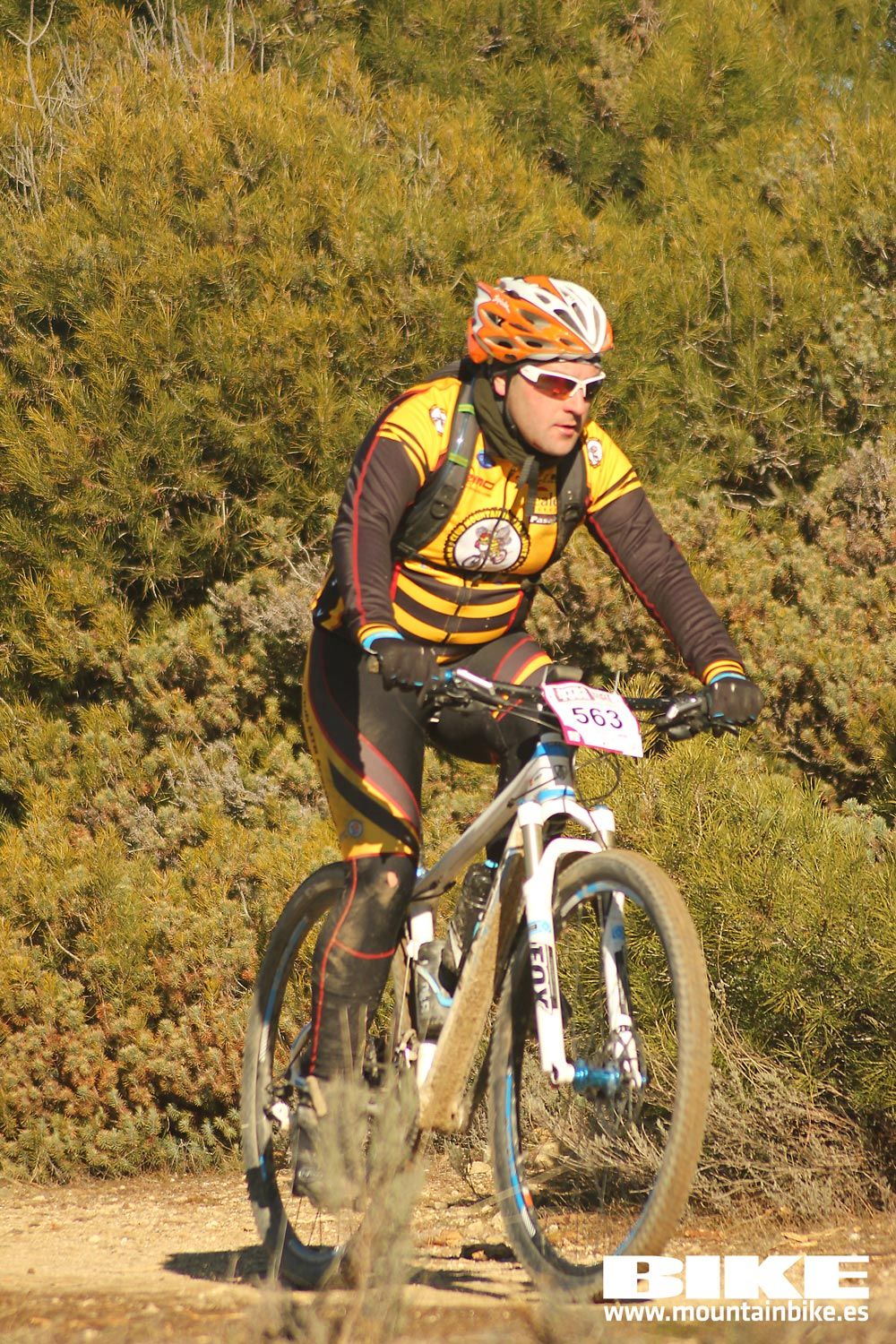 Valdemorillo 2015 Galeria 1