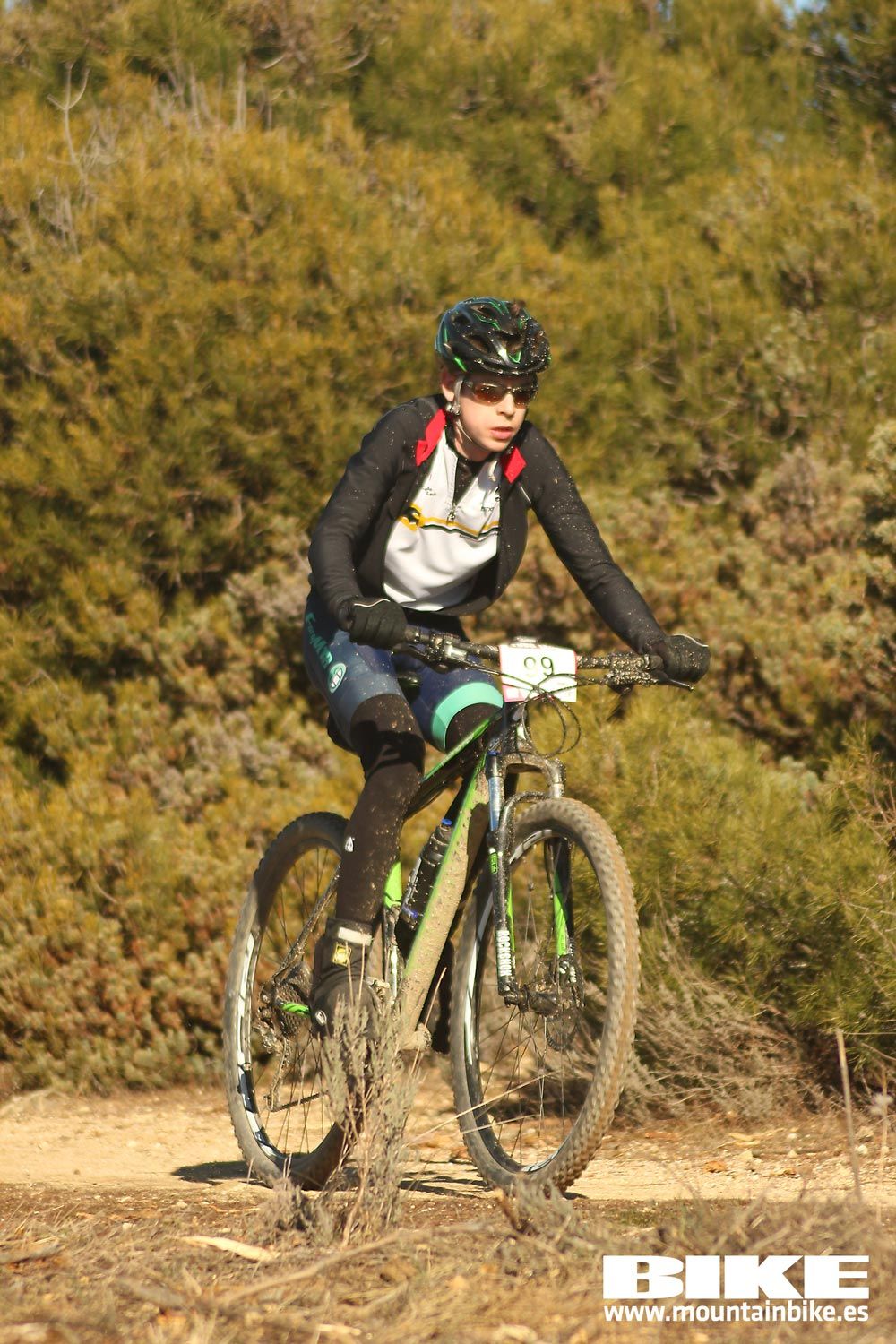 Valdemorillo 2015 Galeria 1