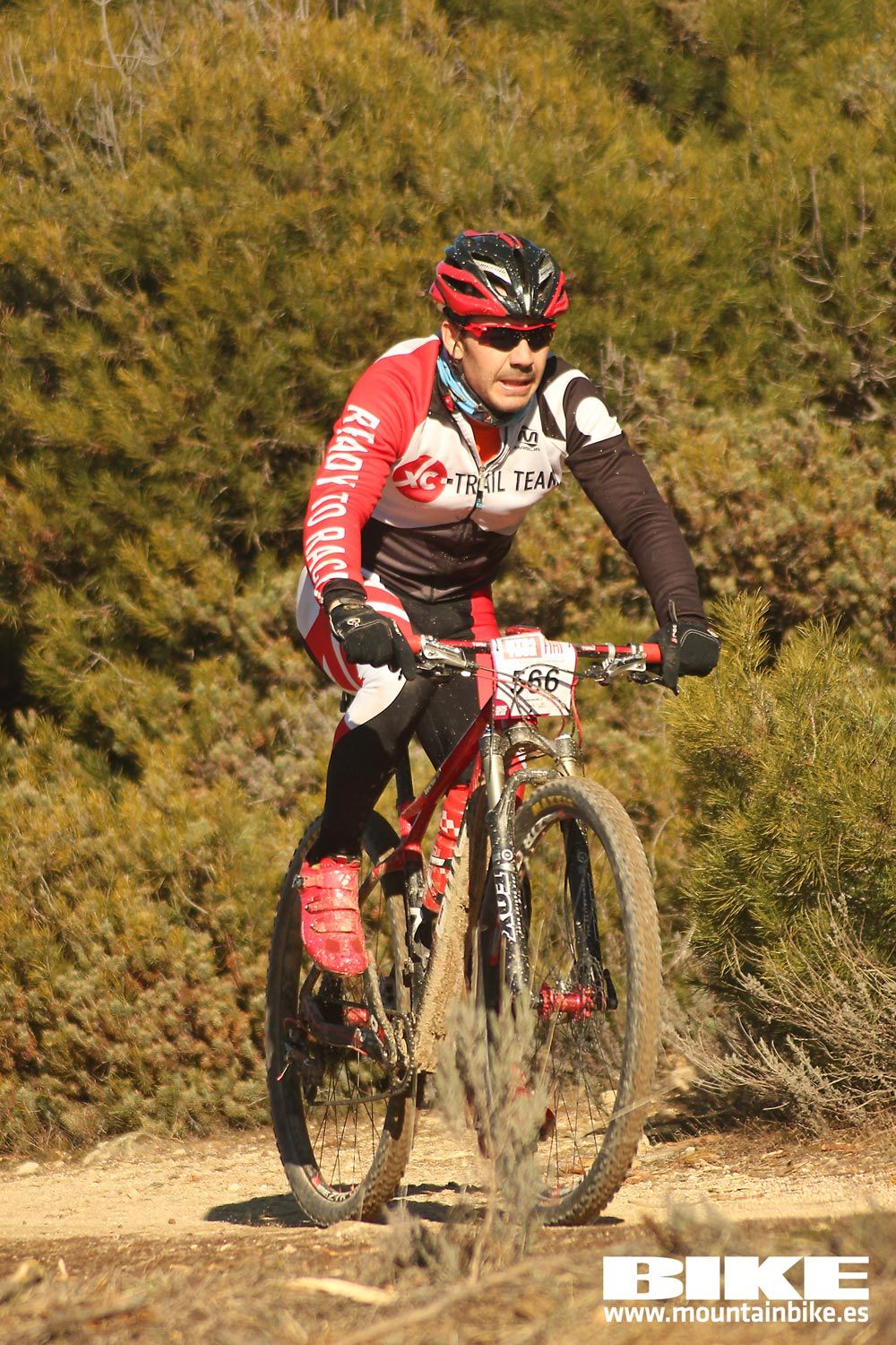 Valdemorillo 2015 Galeria 1