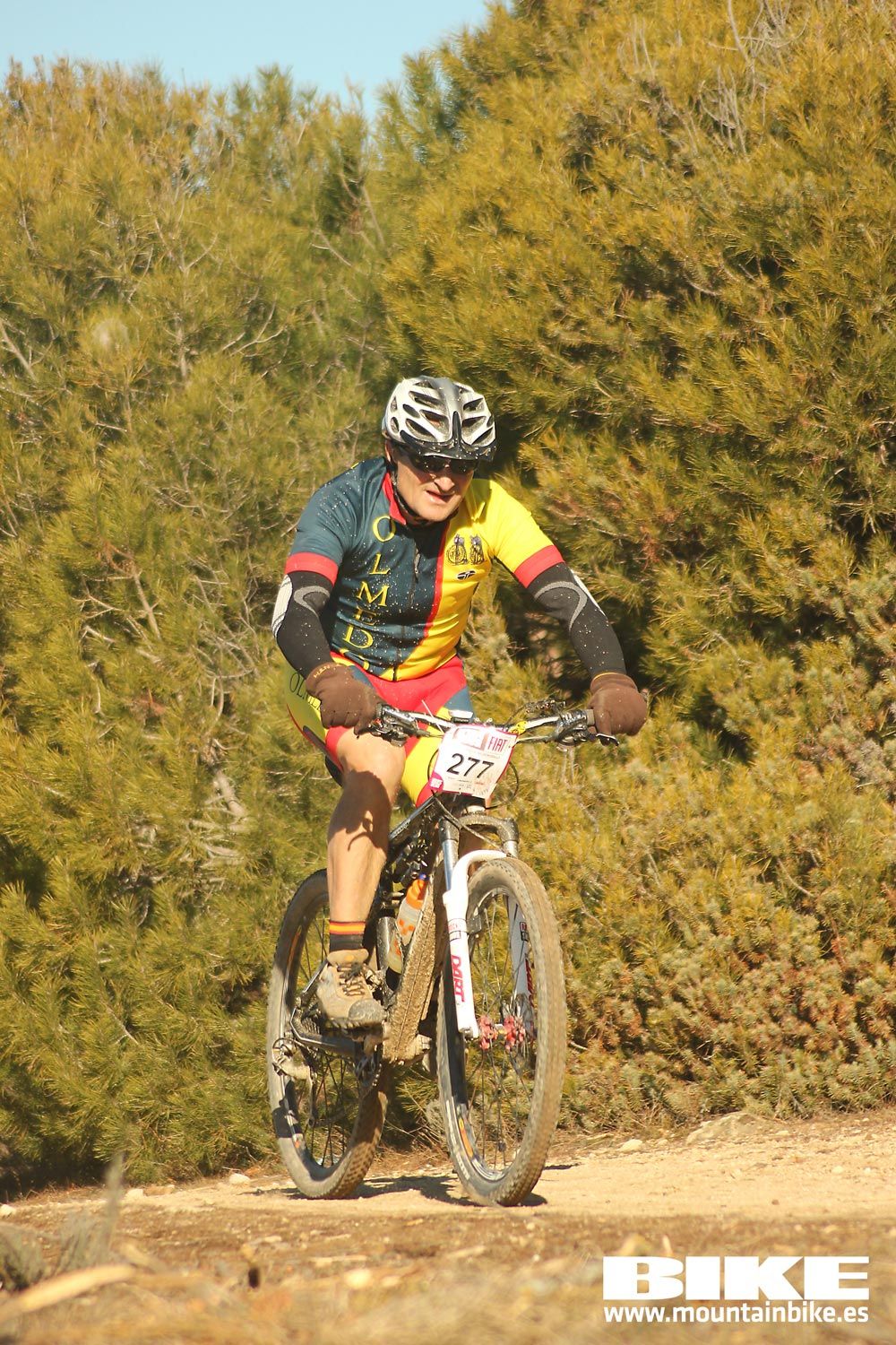 Valdemorillo 2015 Galeria 1