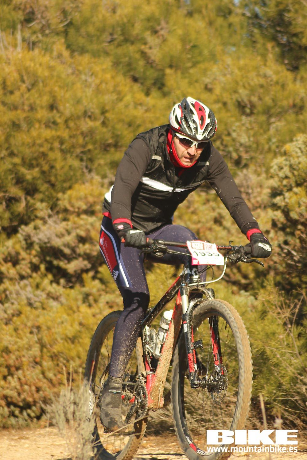 Valdemorillo 2015 Galeria 1