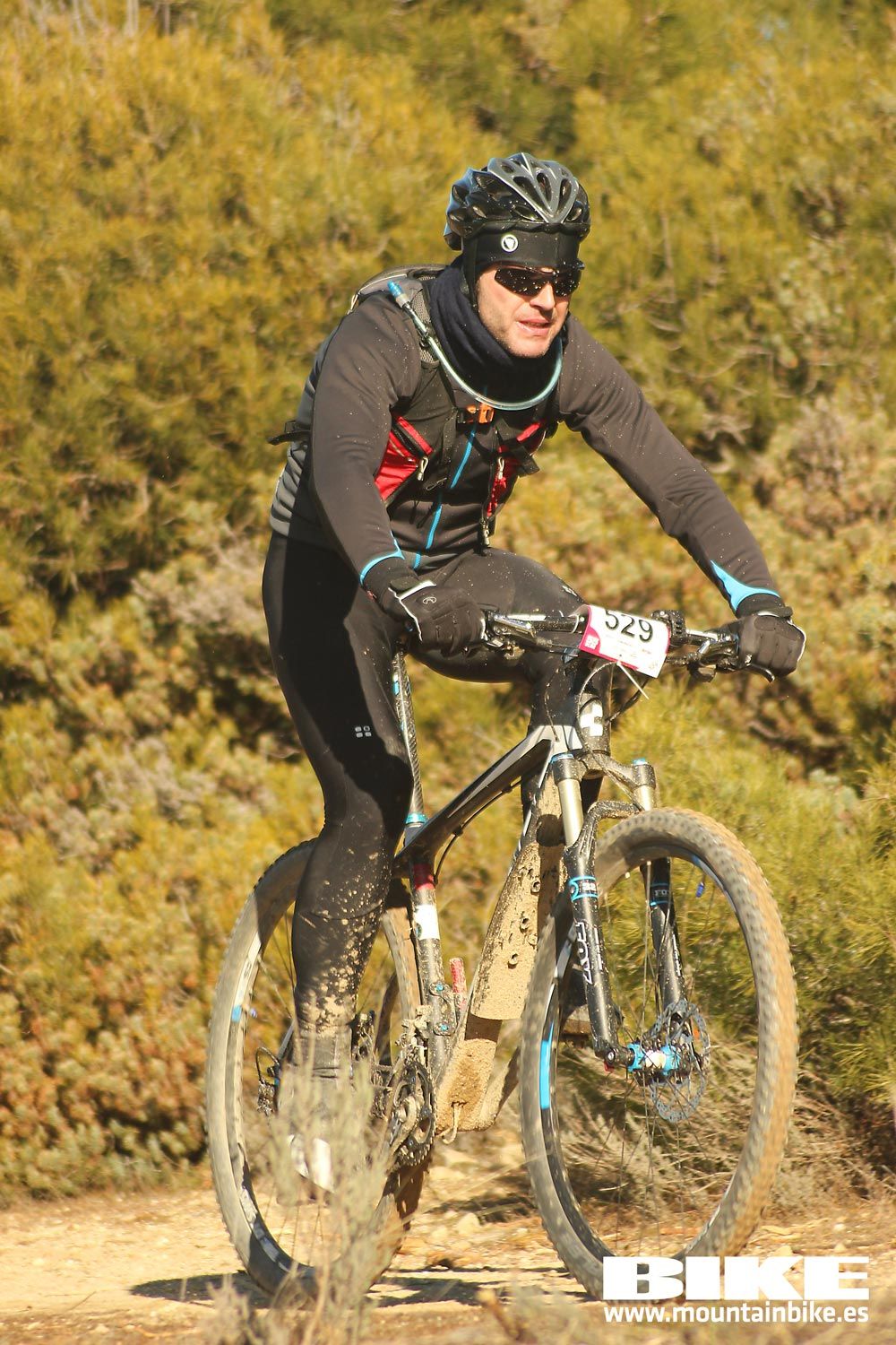 Valdemorillo 2015 Galeria 1