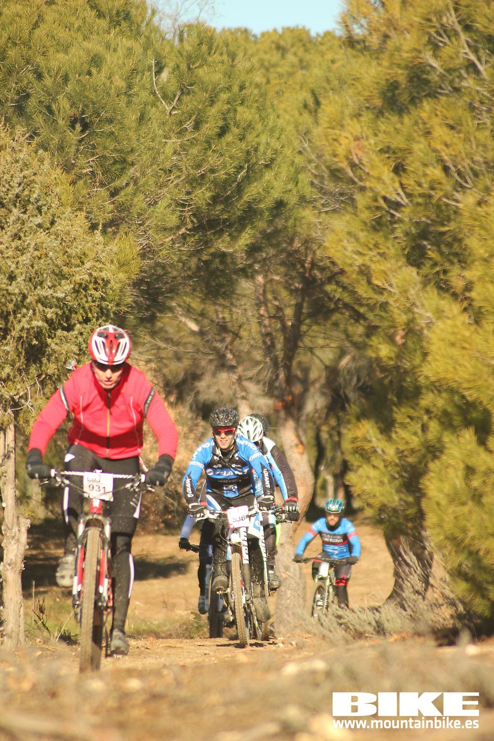 Valdemorillo 2015 Galeria 1