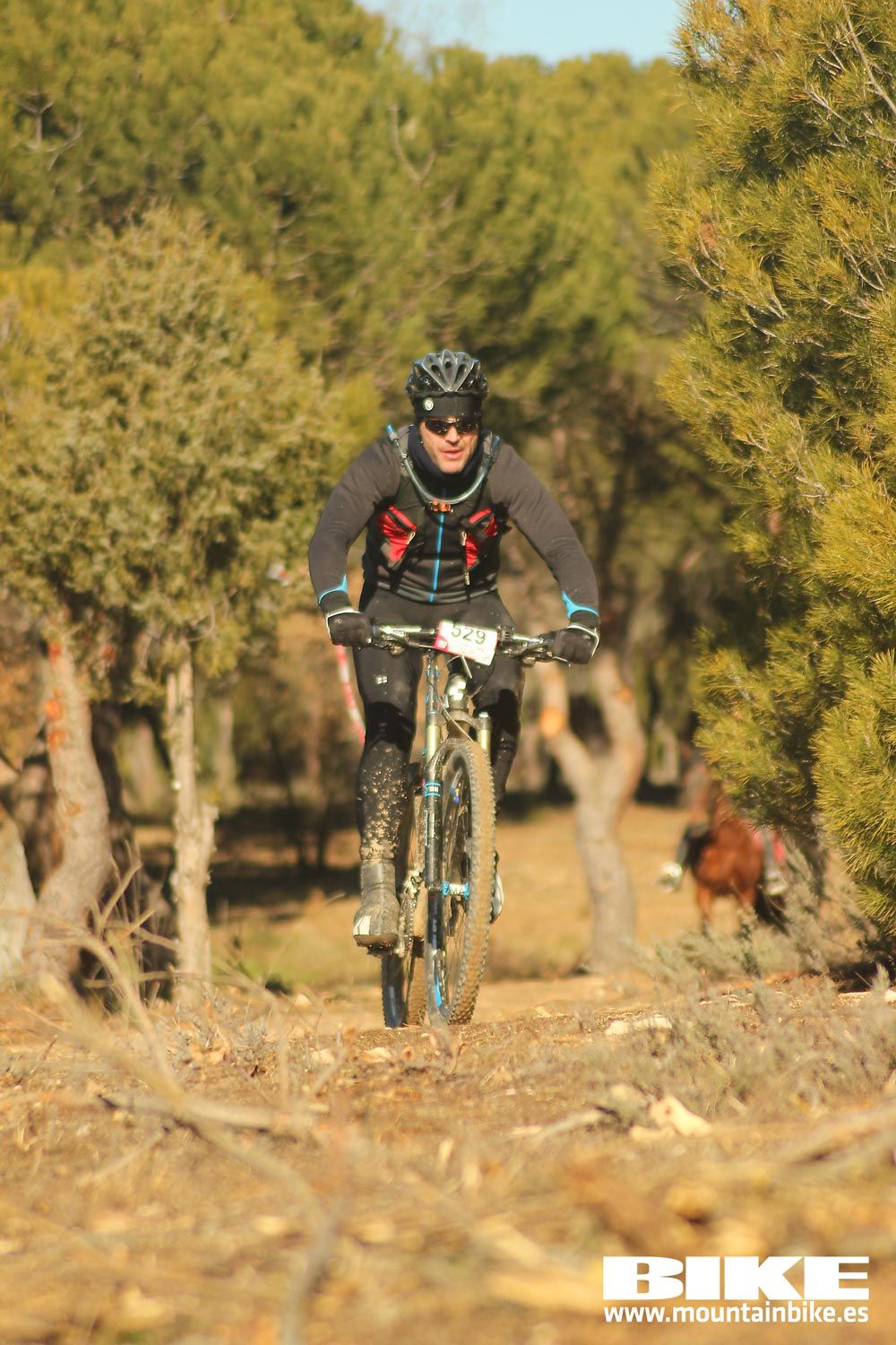 Valdemorillo 2015 Galeria 1