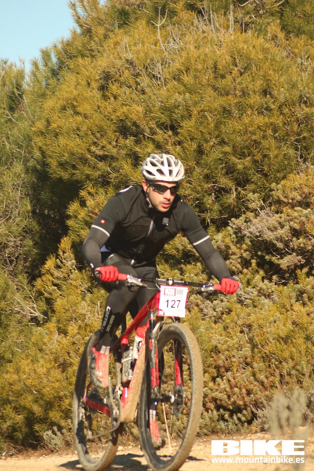 Valdemorillo 2015 Galeria 1