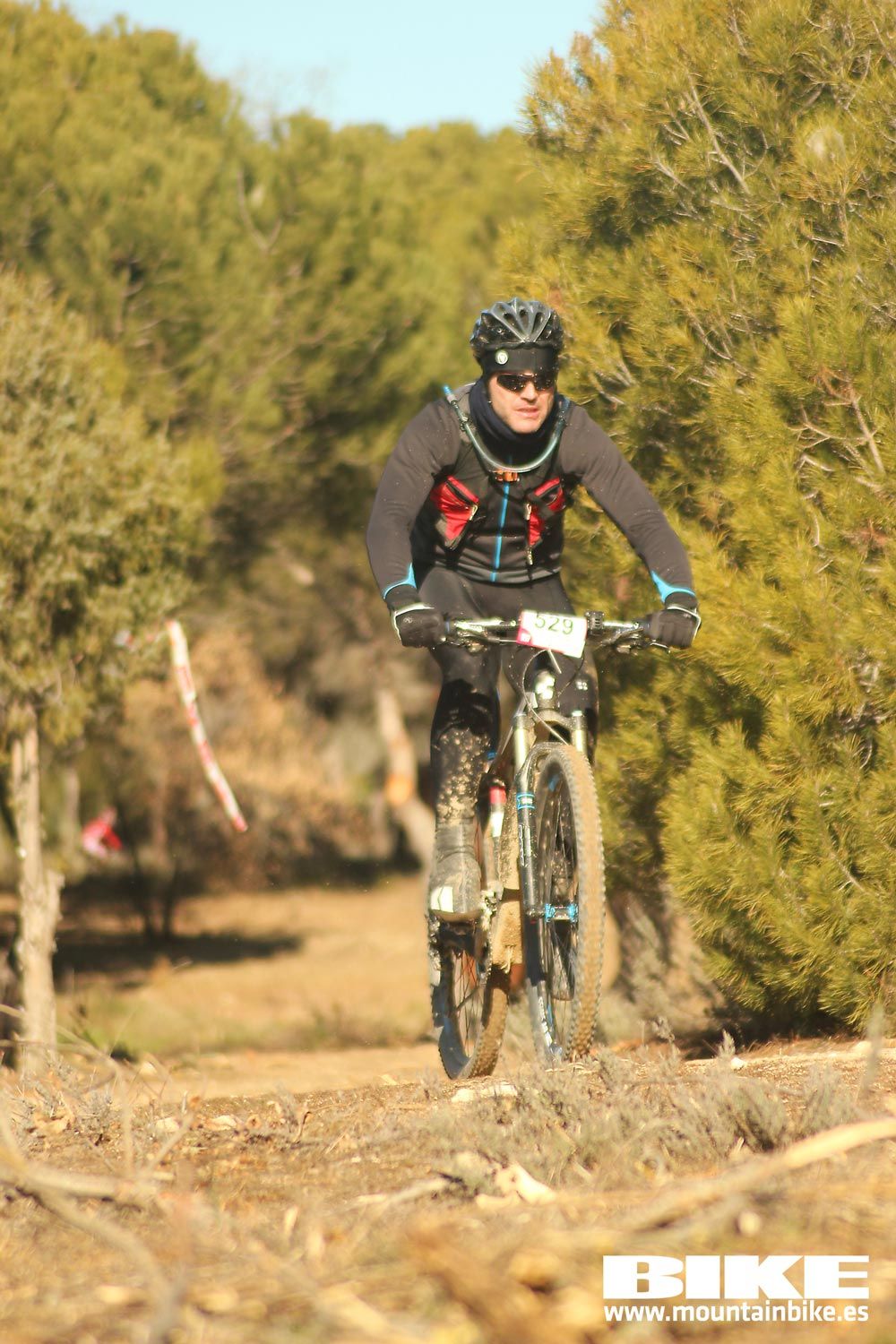 Valdemorillo 2015 Galeria 1