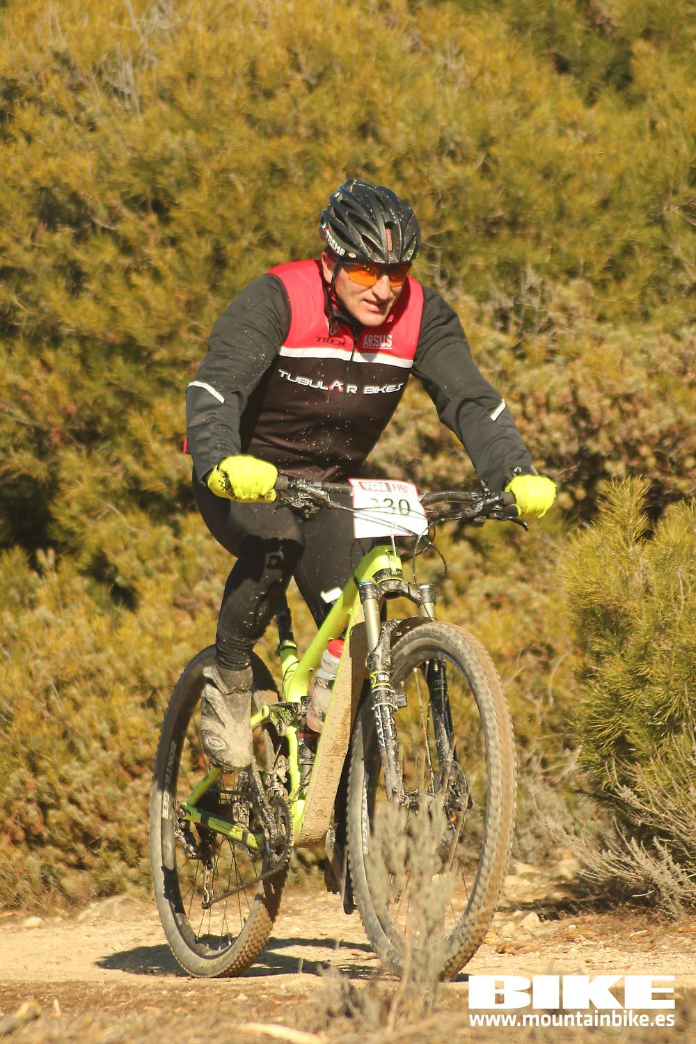 Valdemorillo 2015 Galeria 1