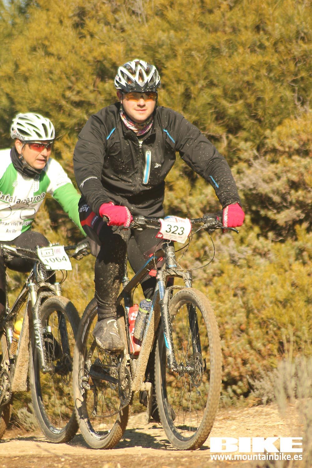 Valdemorillo 2015 Galeria 1