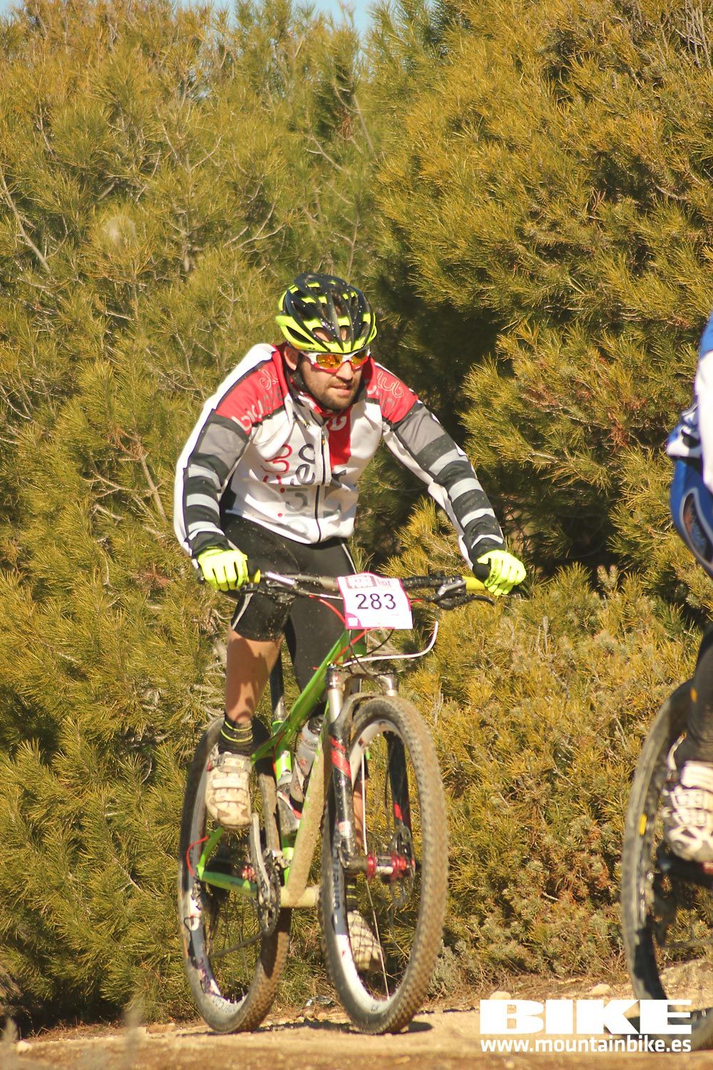 Valdemorillo 2015 Galeria 1