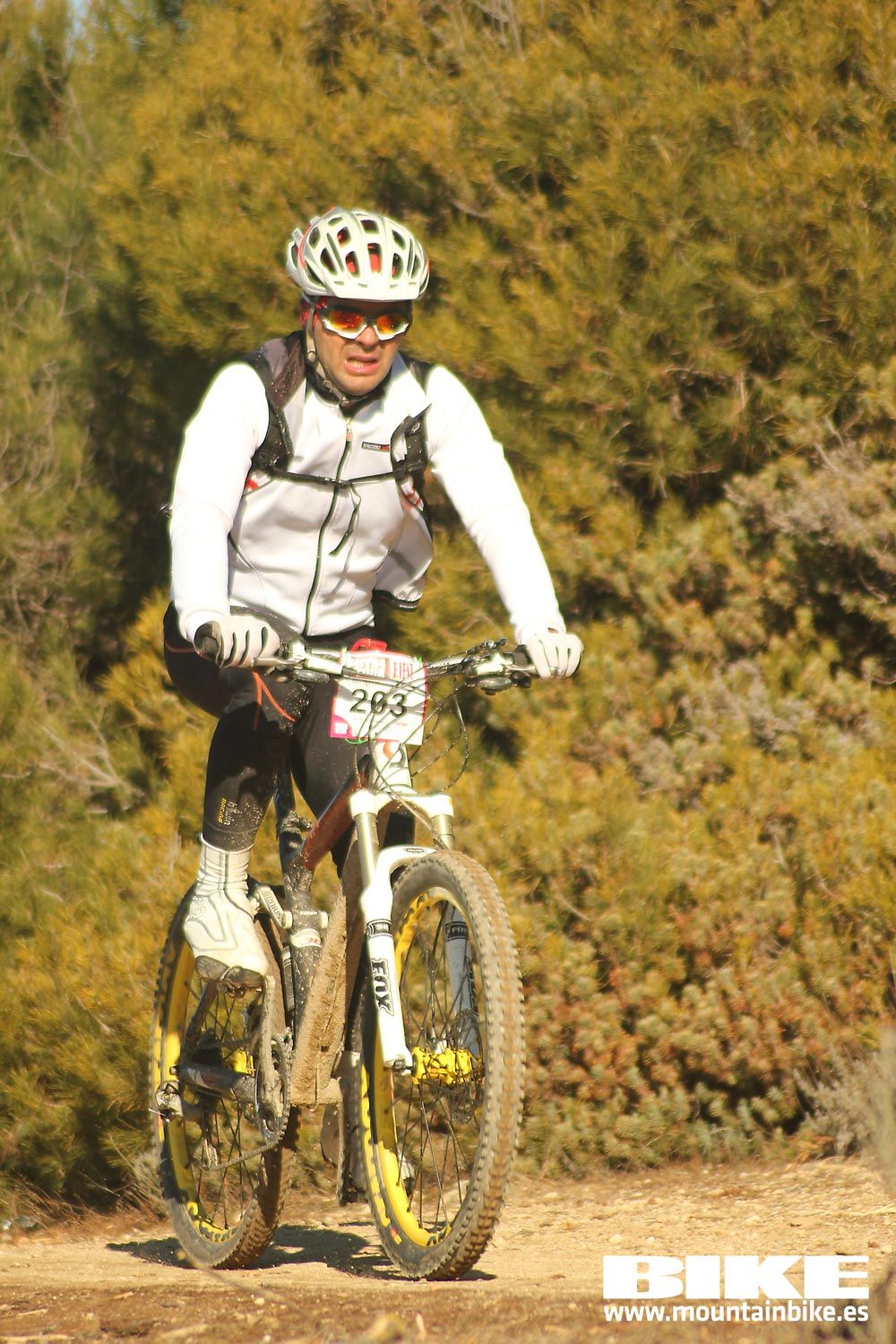 Valdemorillo 2015 Galeria 1