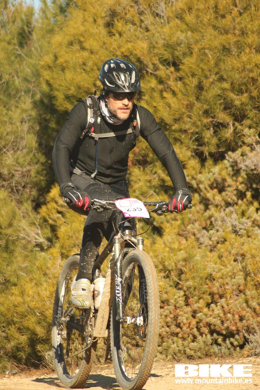 Valdemorillo 2015 Galeria 1