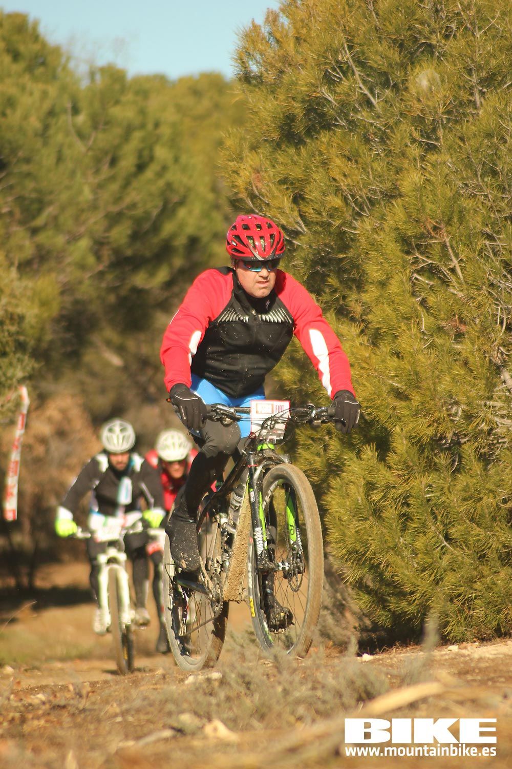Valdemorillo 2015 Galeria 1