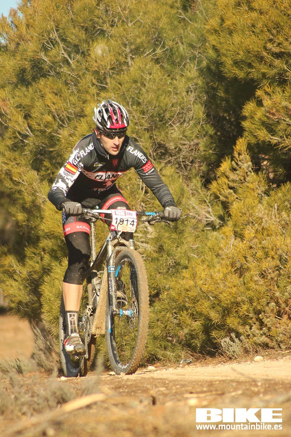 Valdemorillo 2015 Galeria 1