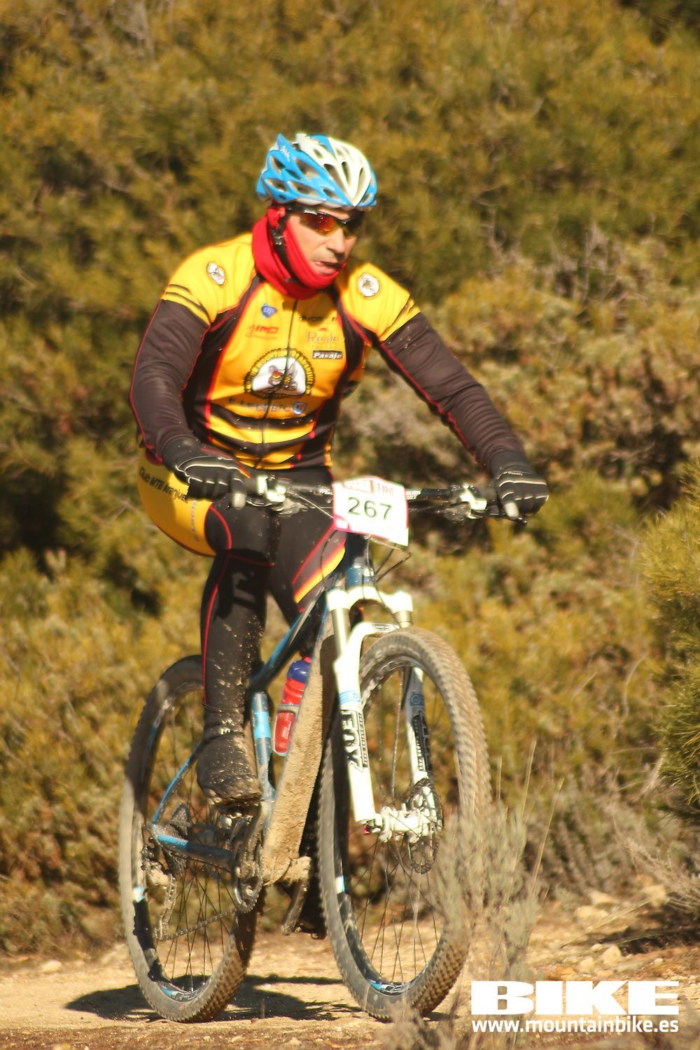 Valdemorillo 2015 Galeria 1