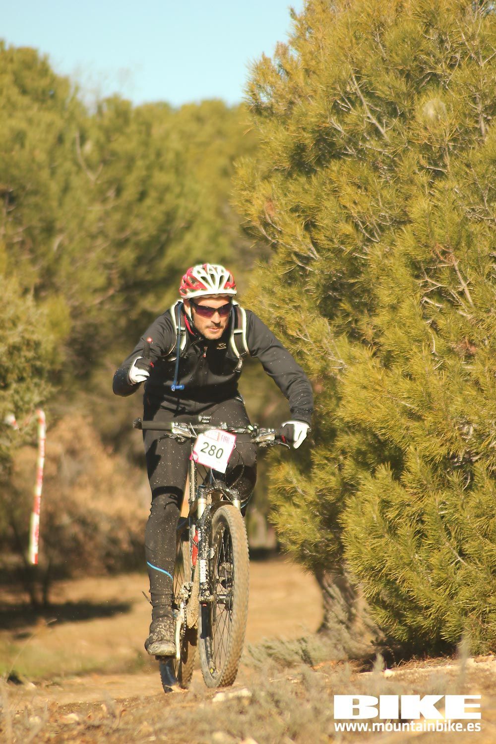 Valdemorillo 2015 Galeria 1