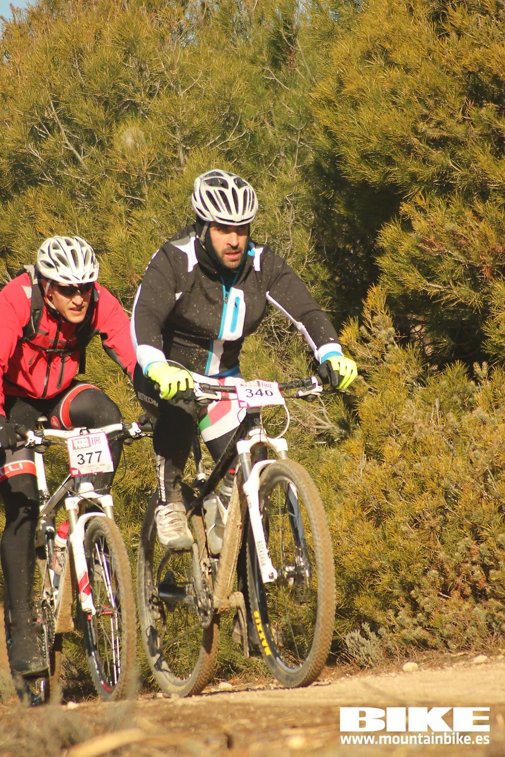 Valdemorillo 2015 Galeria 1