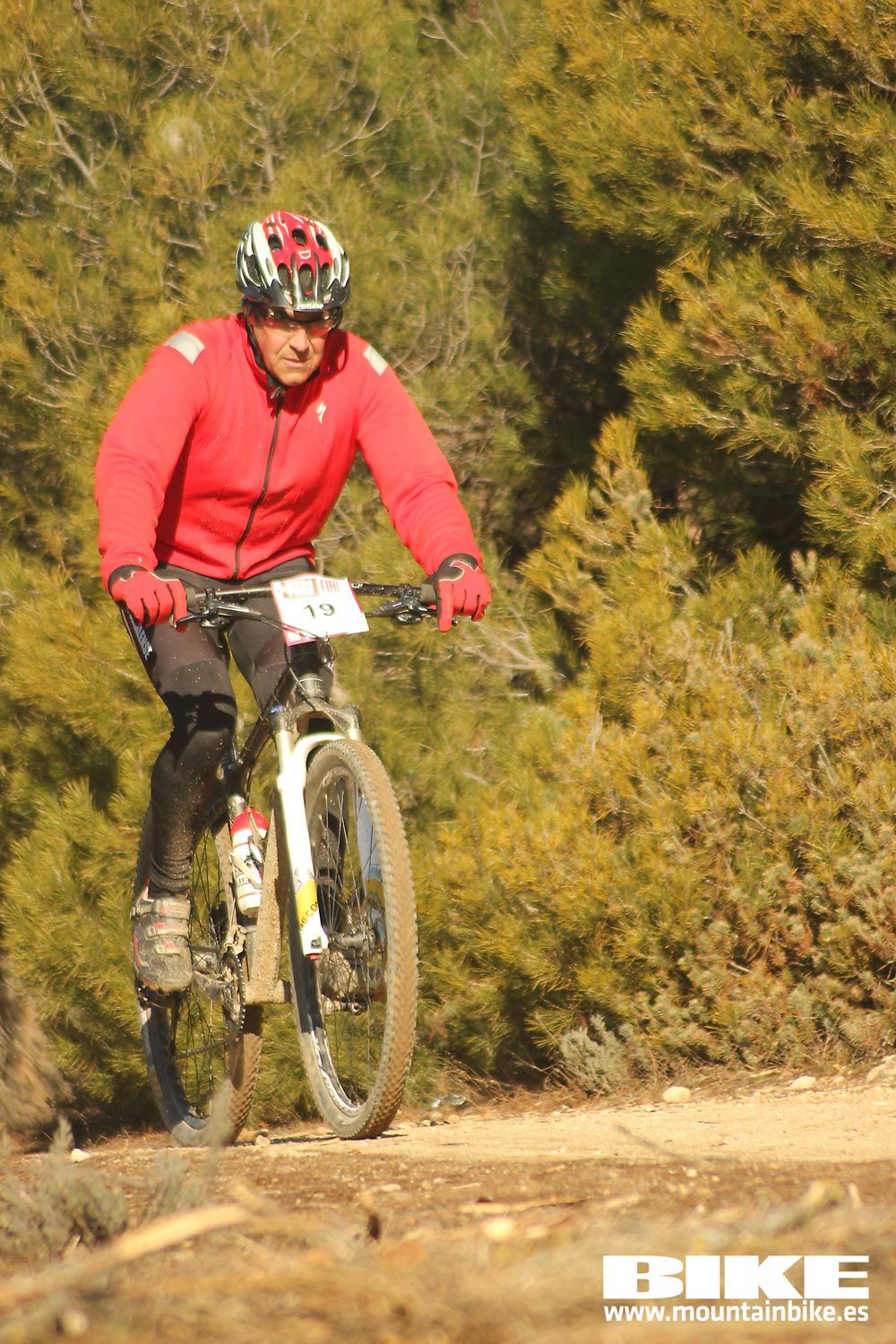 Valdemorillo 2015 Galeria 1