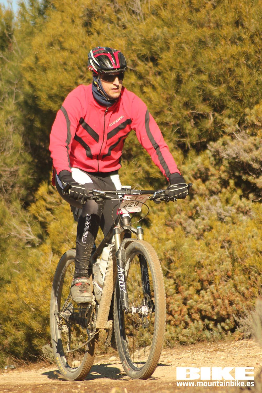 Valdemorillo 2015 Galeria 2