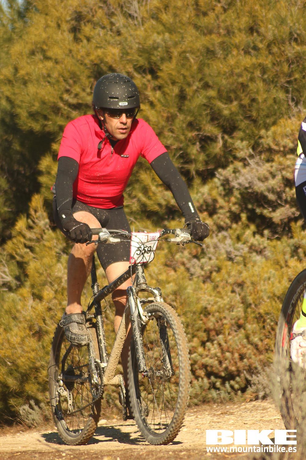 Valdemorillo 2015 Galeria 1