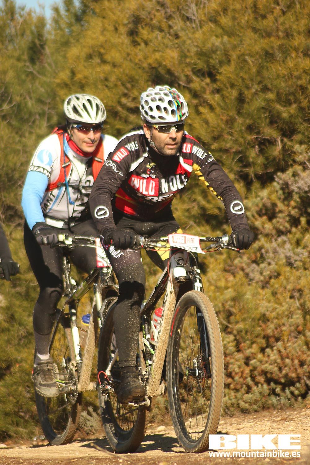 Valdemorillo 2015 Galeria 2