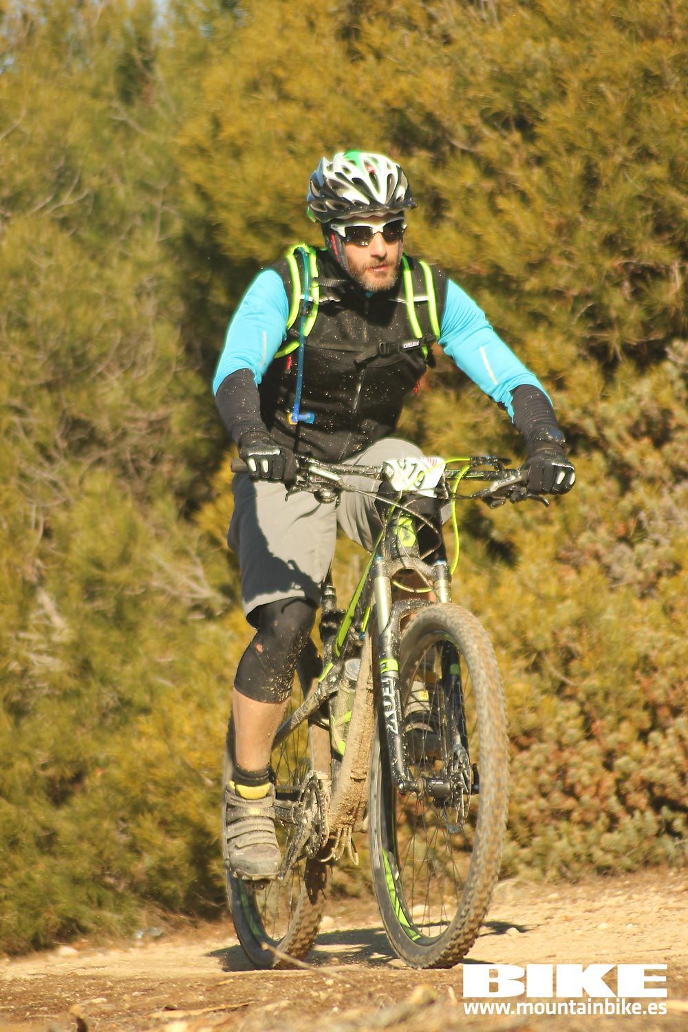 Valdemorillo 2015 Galeria 2