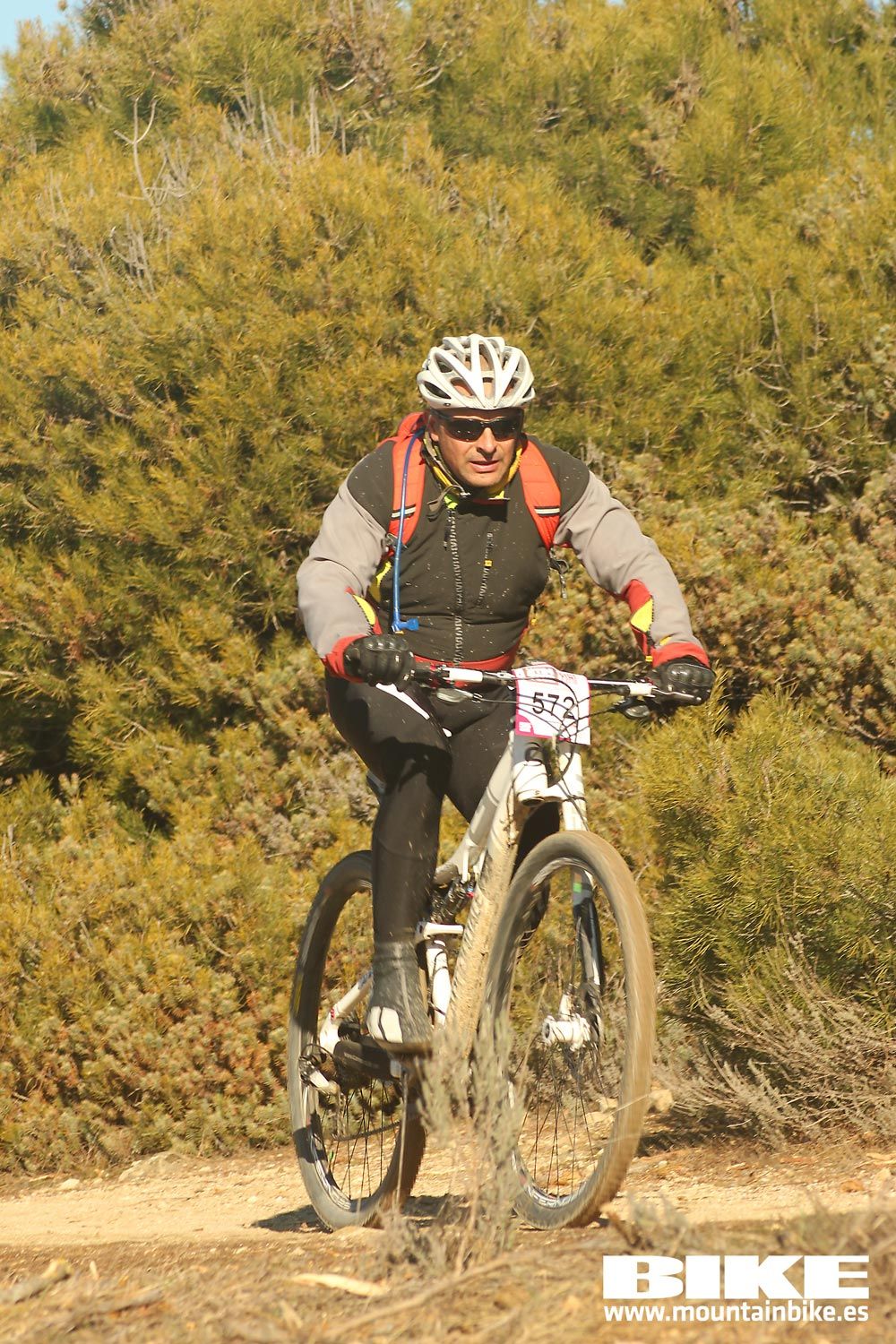 Valdemorillo 2015 Galeria 2