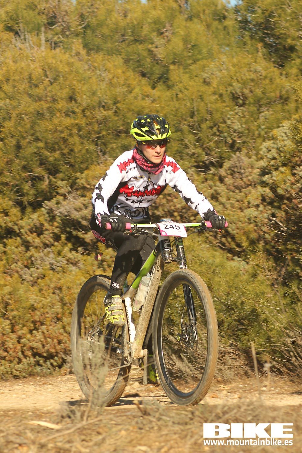 Valdemorillo 2015 Galeria 2