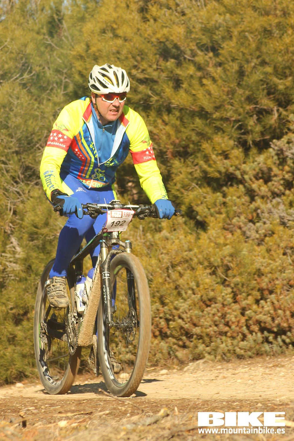 Valdemorillo 2015 Galeria 2