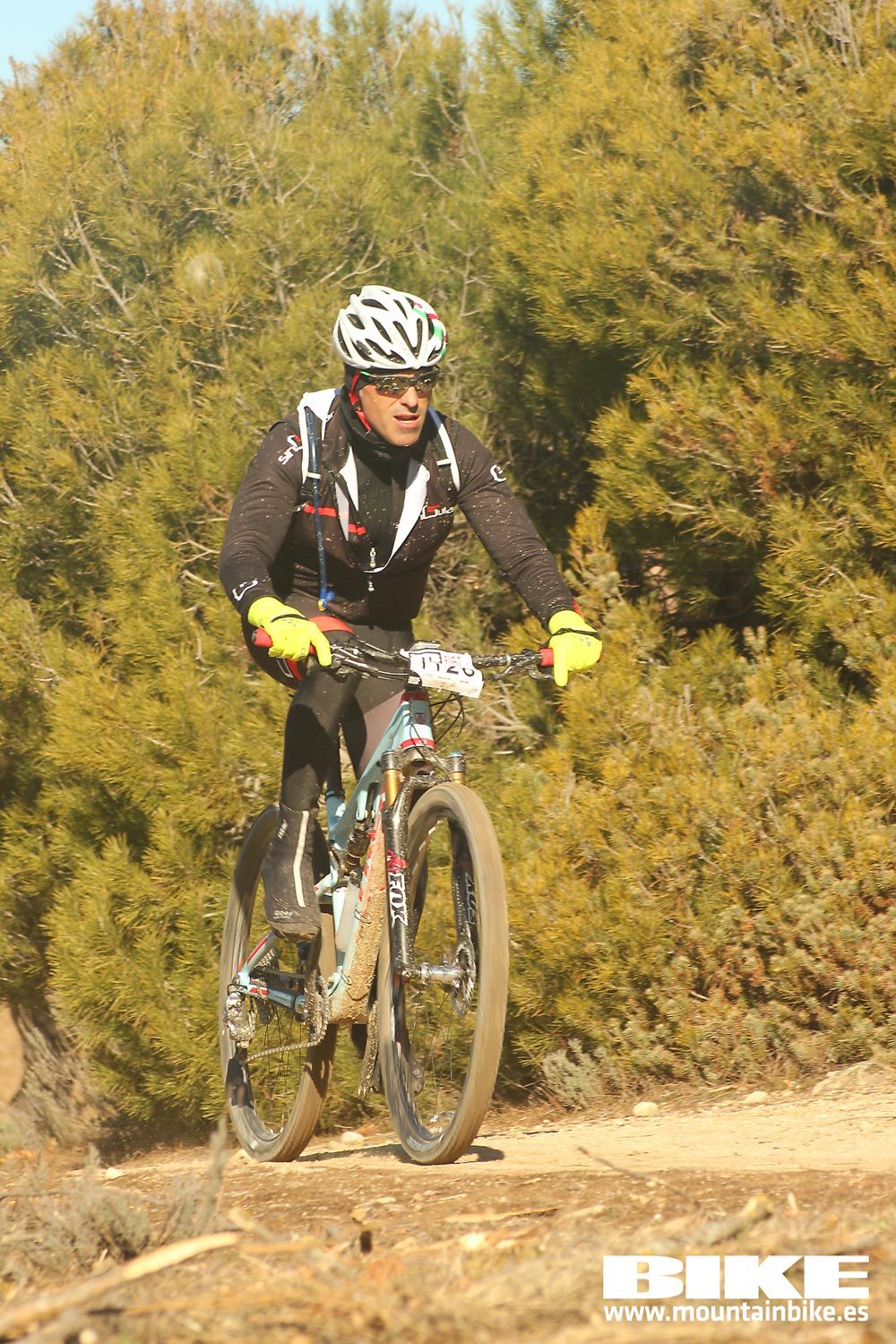 Valdemorillo 2015 Galeria 2