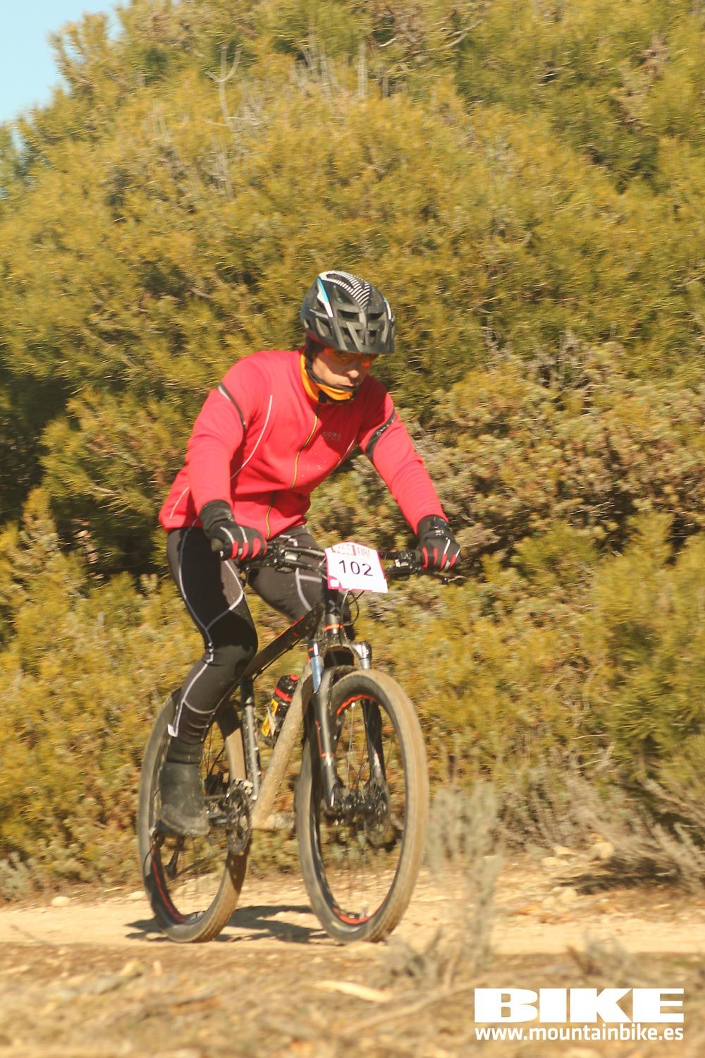 Valdemorillo 2015 Galeria 2