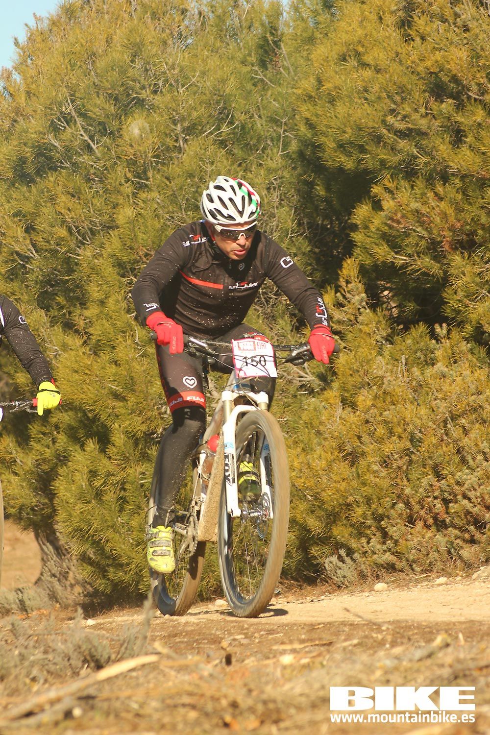 Valdemorillo 2015 Galeria 2