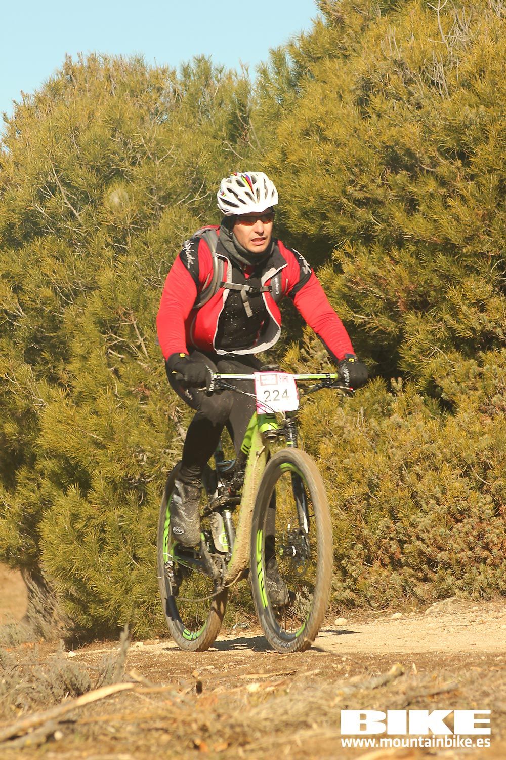 Valdemorillo 2015 Galeria 2