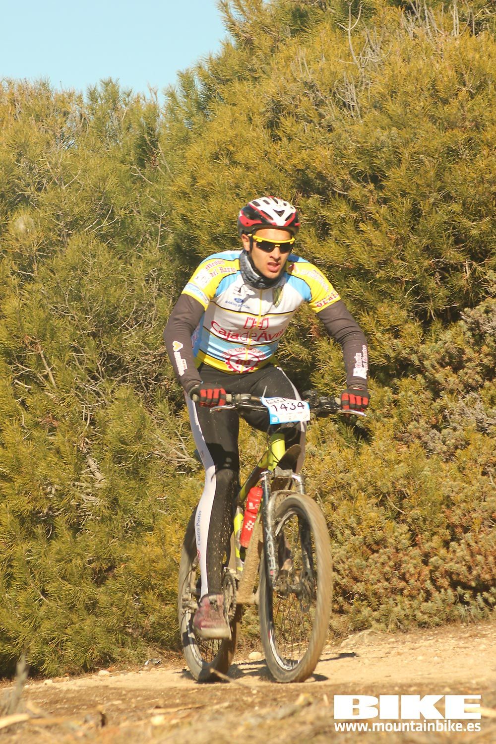Valdemorillo 2015 Galeria 2