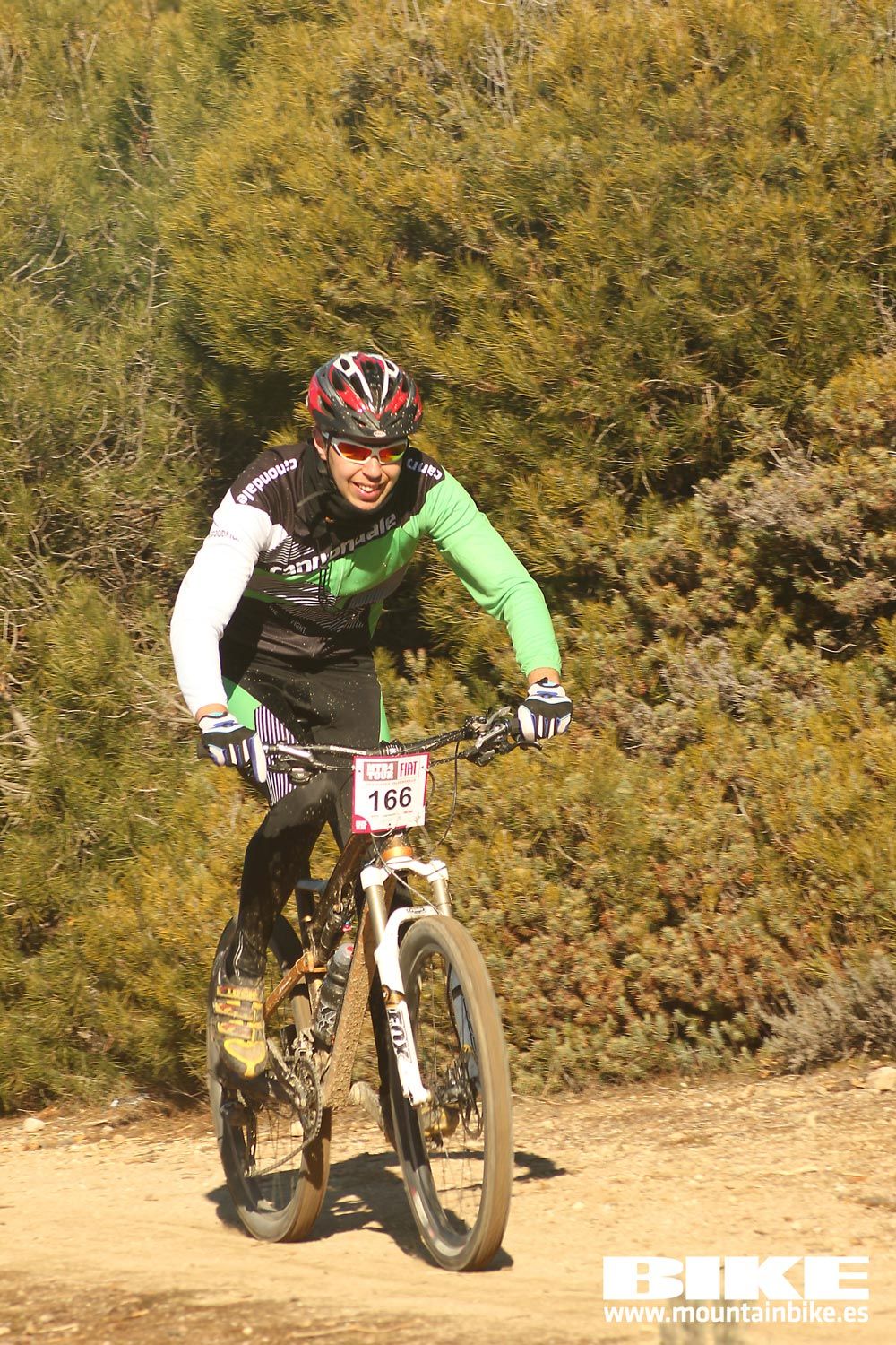 Valdemorillo 2015 Galeria 2