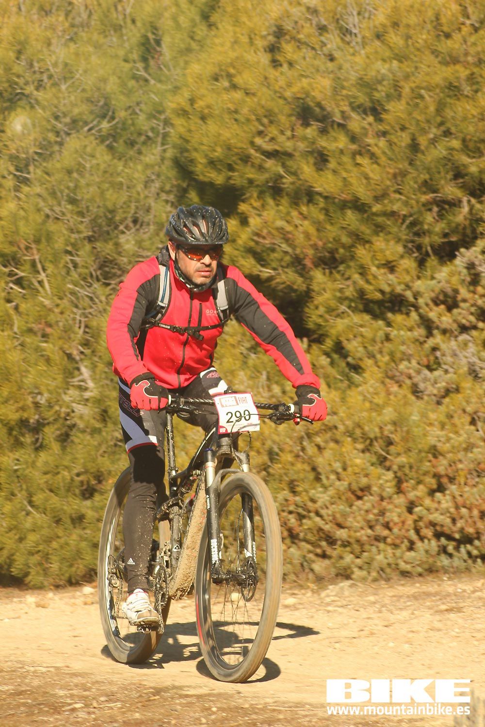 Valdemorillo 2015 Galeria 2