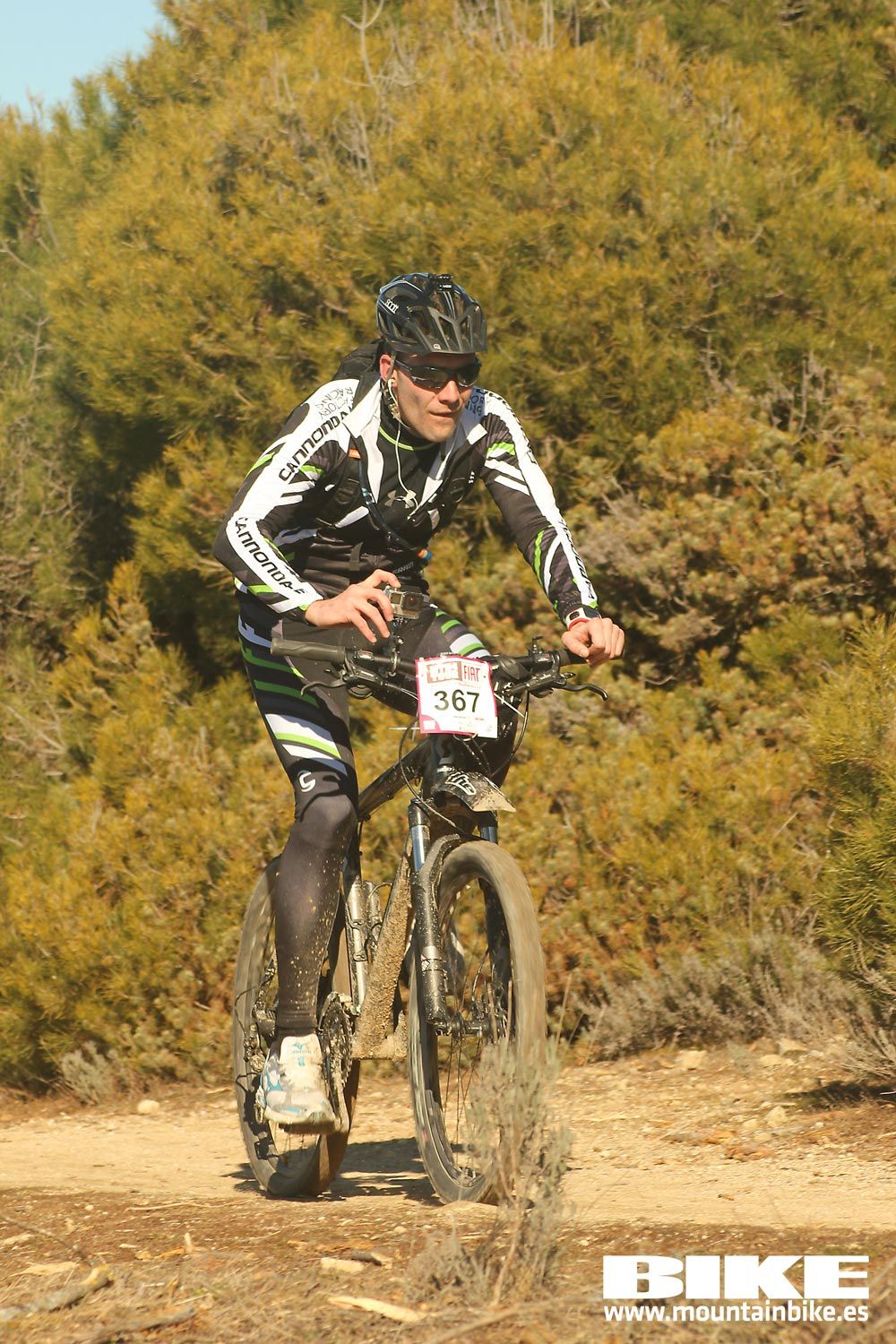Valdemorillo 2015 Galeria 2