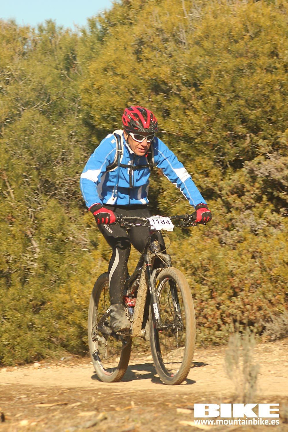 Valdemorillo 2015 Galeria 2