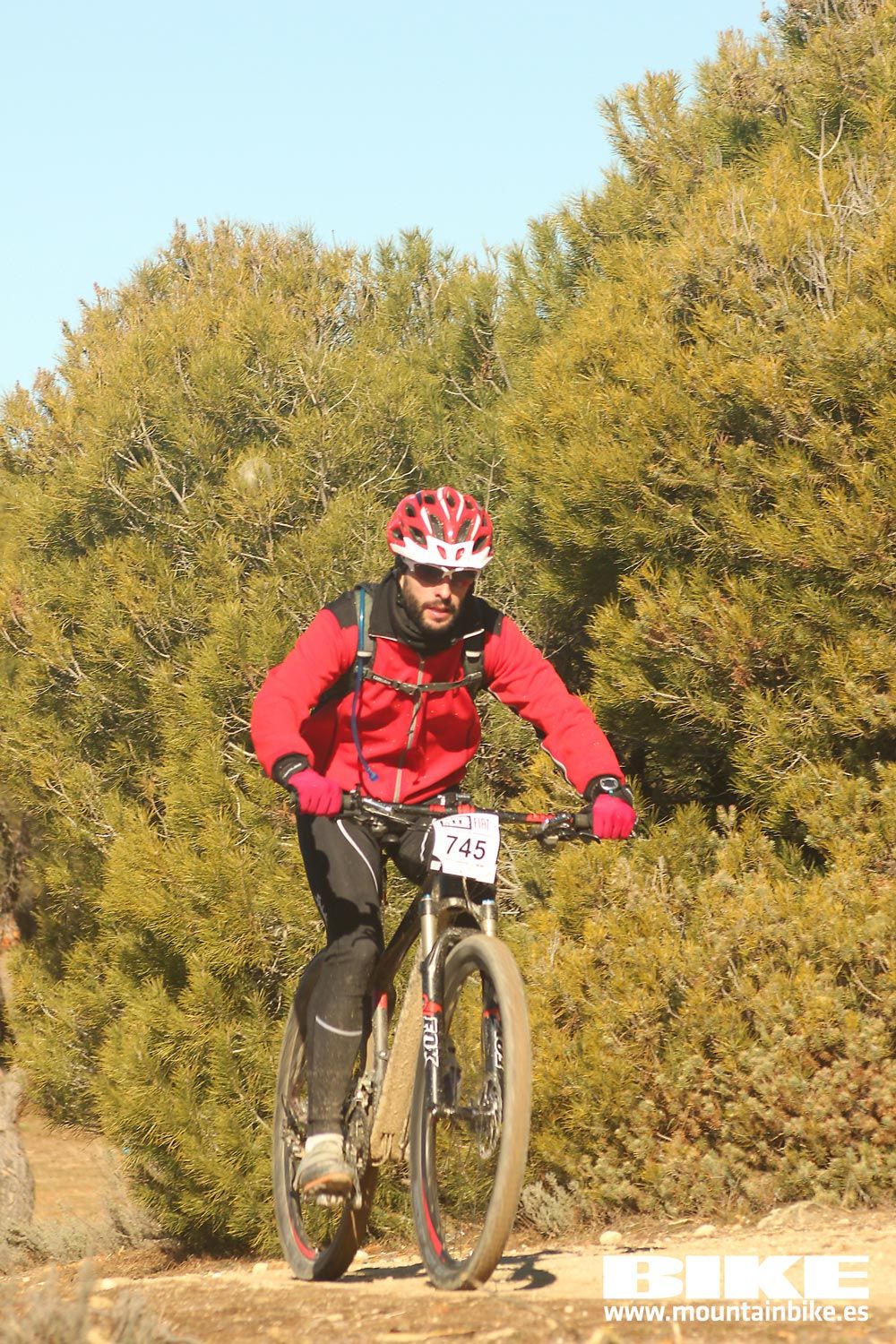Valdemorillo 2015 Galeria 3