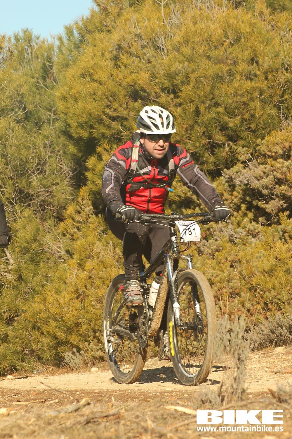 Valdemorillo 2015 Galeria 3
