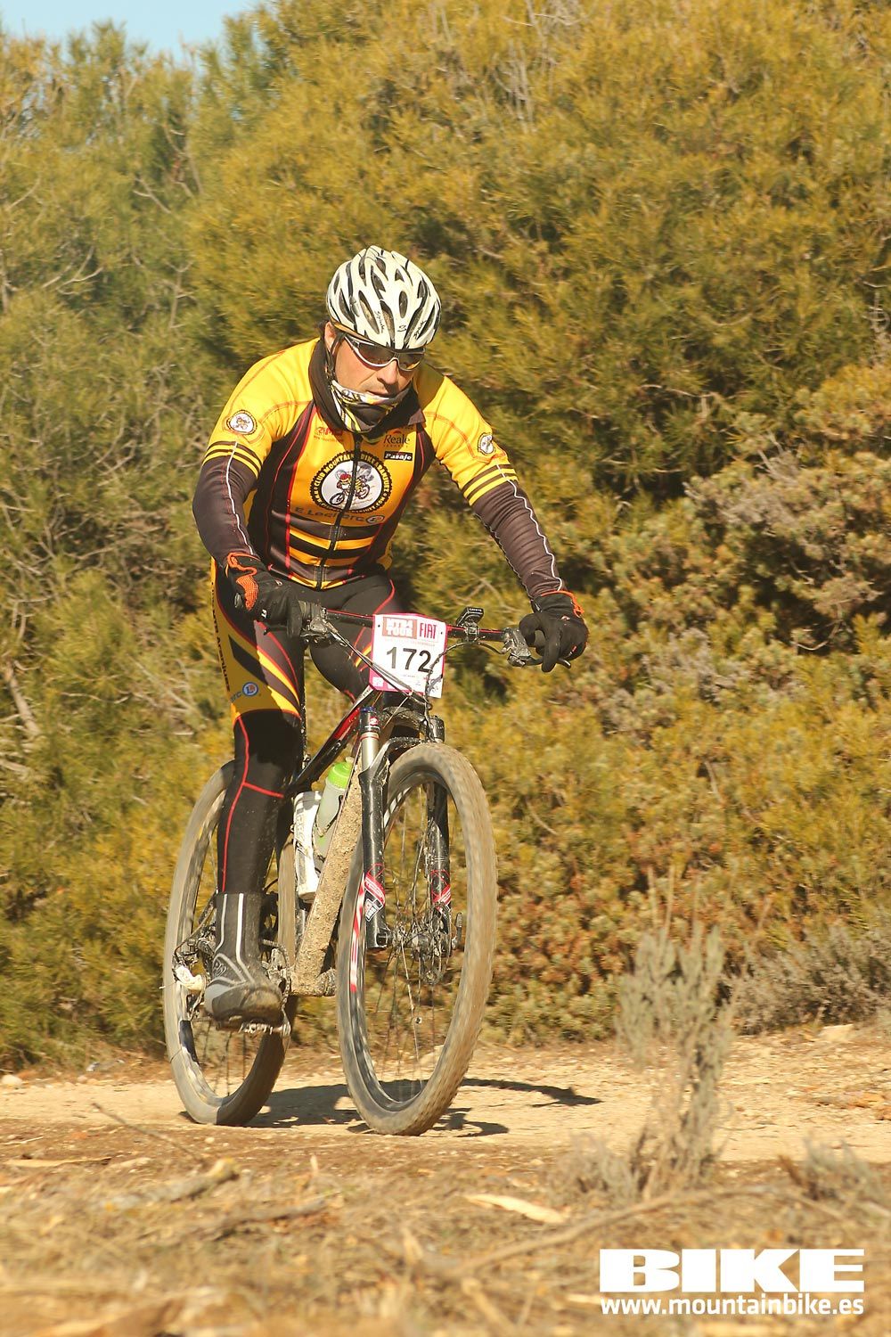 Valdemorillo 2015 Galeria 3