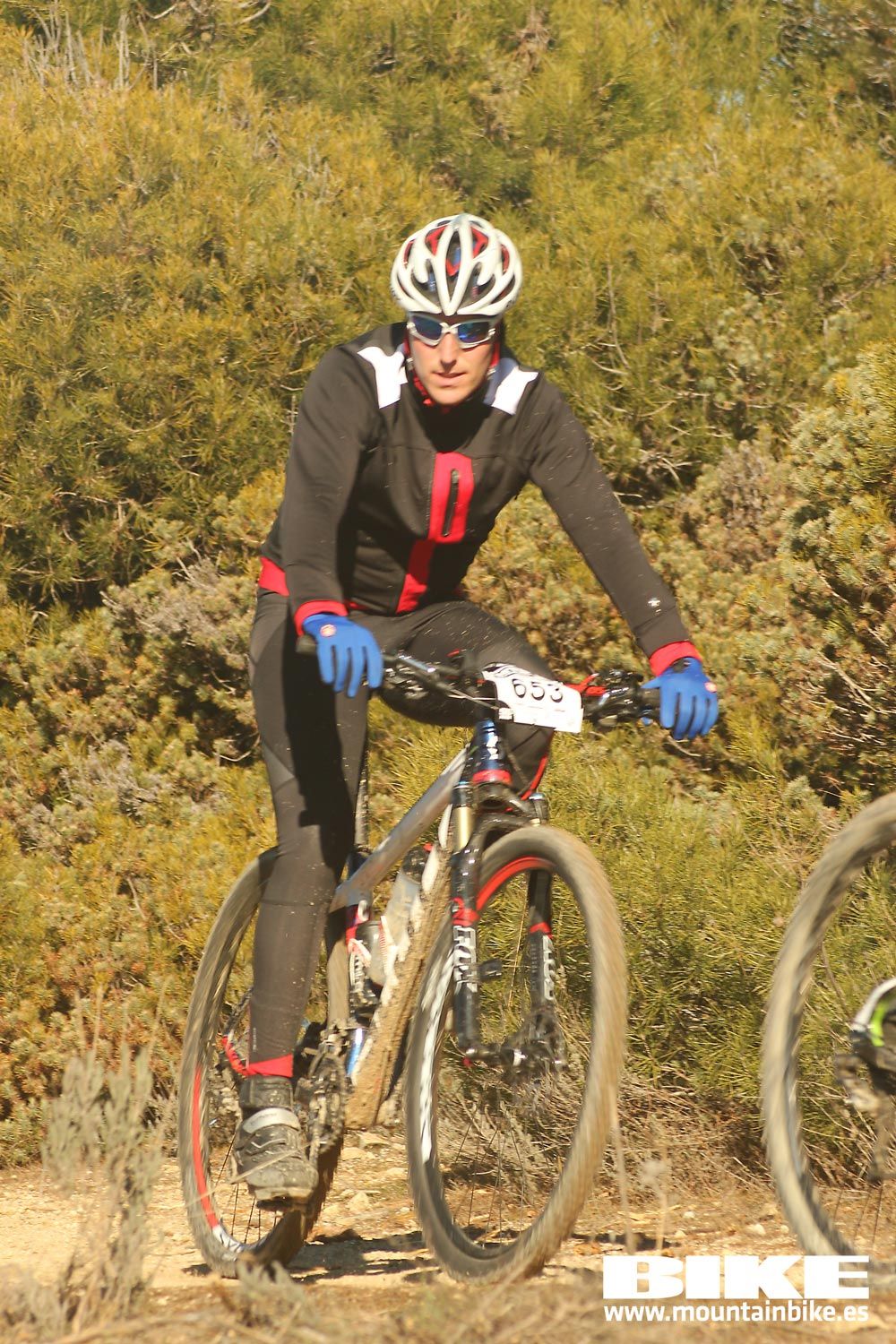 Valdemorillo 2015 Galeria 3