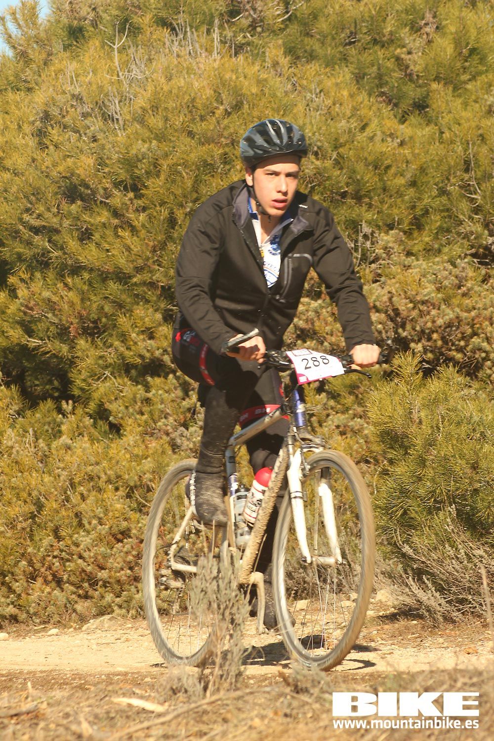 Valdemorillo 2015 Galeria 3