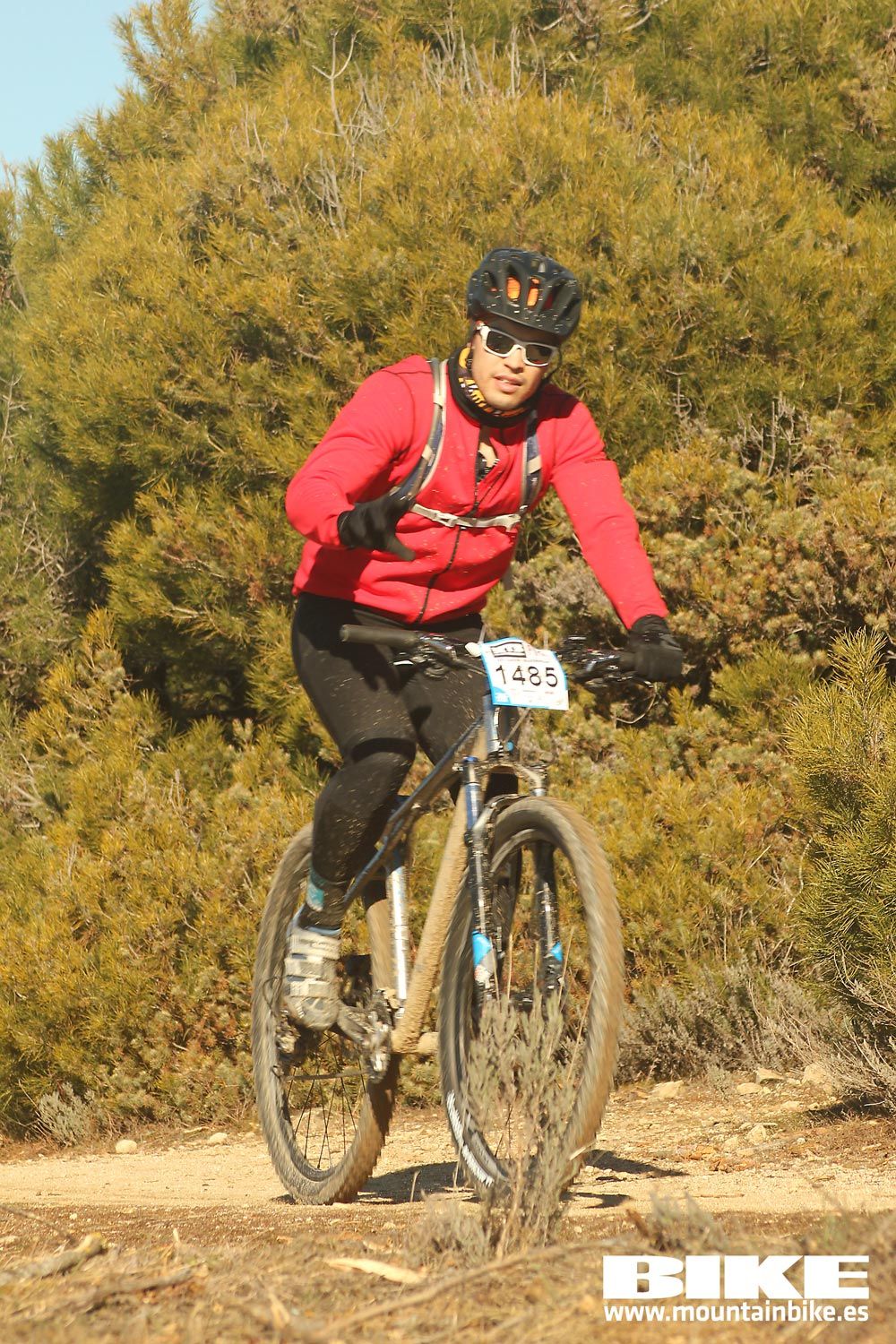 Valdemorillo 2015 Galeria 3