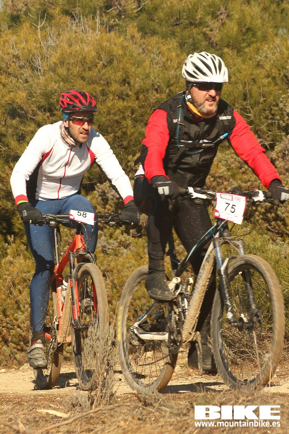 Valdemorillo 2015 Galeria 3