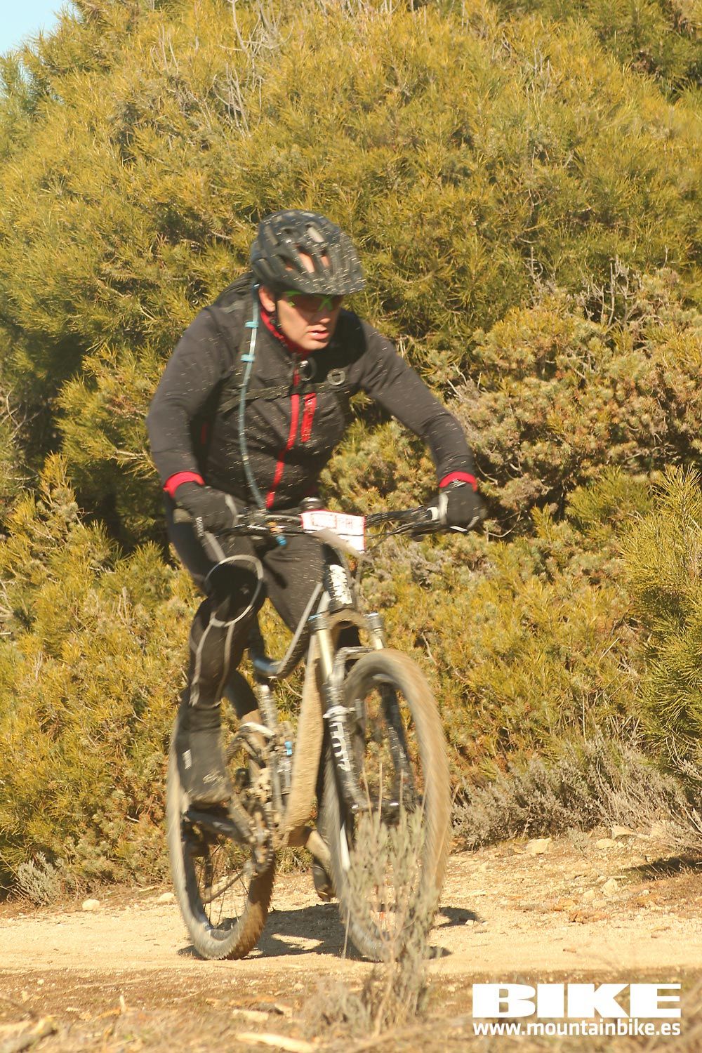 Valdemorillo 2015 Galeria 3
