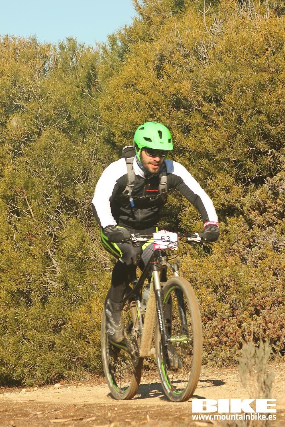 Valdemorillo 2015 Galeria 3