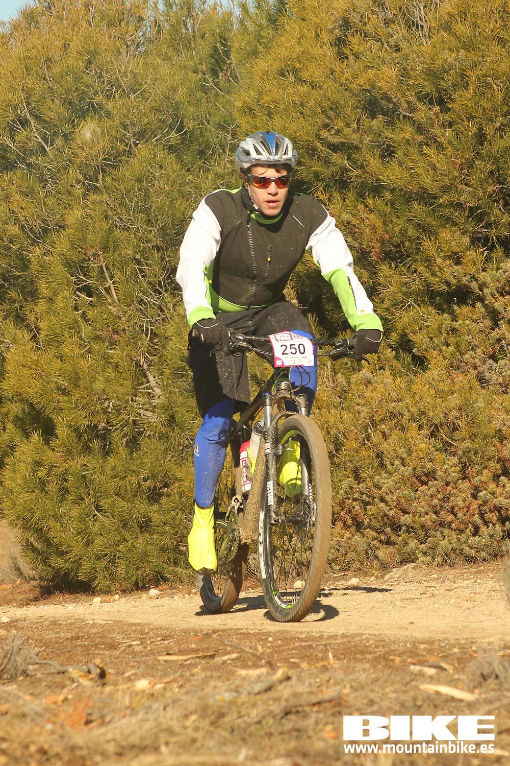 Valdemorillo 2015 Galeria 3