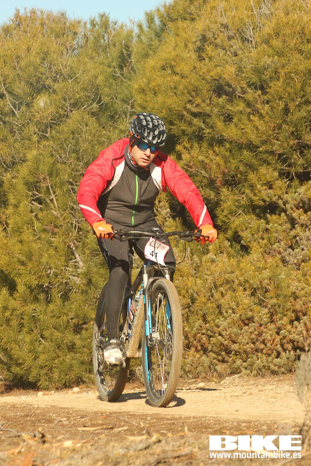 Valdemorillo 2015 Galeria 3